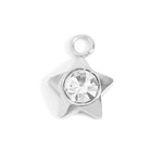 Load image into Gallery viewer, Shining Star Charm
