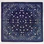Load image into Gallery viewer, Paisley Square Scarf
