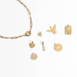 Moonlit Charm