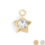 Load image into Gallery viewer, Shining Star Charm
