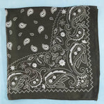 Load image into Gallery viewer, Paisley Square Scarf
