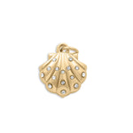Load image into Gallery viewer, Shimmer Shell - Gold
