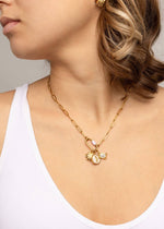 Load image into Gallery viewer, Shimmer Shell - Gold
